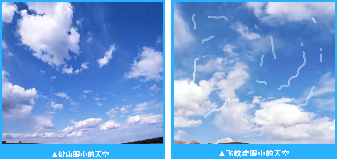 1747793178405846.png